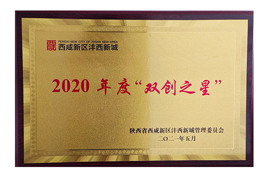 实创生科荣获2020年度“双创之星”荣誉称号