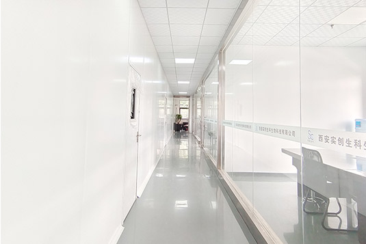 实创生科-办公室走廊