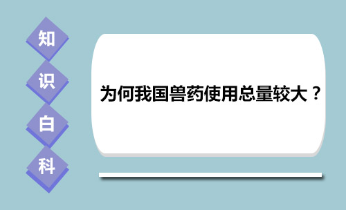 为何我国兽药使用总量较大？