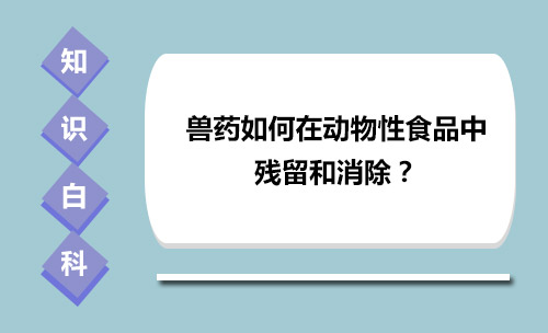 兽药如何在动物性食品中残留和消除？